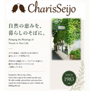 151-1/私の温茶習慣ハーブティー　シトラス＆ジンジャー　10TB