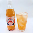 171-1/谷中クラフトコーラ 500mlペットボトル 6本セット