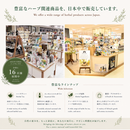 151-1/私の温茶習慣ハーブティー　シトラス＆ジンジャー　10TB