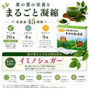 166-2/Wakaka Mulberry Leaf Tea