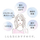 201-2/Honjima Tsubaki Pure Camellia Oil
