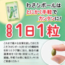 129-1/Wasashi Ball
