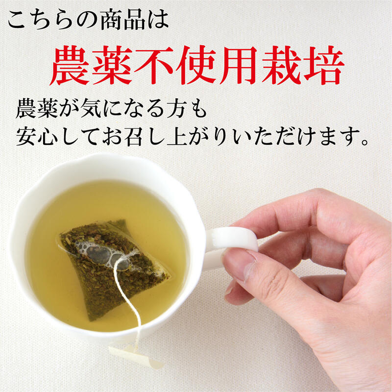 Hagiri GABA Tea Series – Relaxing Japanese Green Tea Selection - Shizuoka City