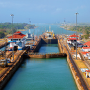 Rare Coffee Single-Origin Panama Geisha [200g/500g bags] - Kurumira Shop