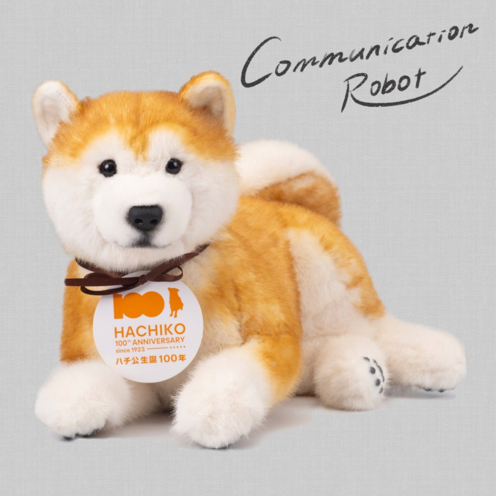 CMB TTM トレンドマスター Trend Master HACHI Hach Hachiiko 100th Anniversary limited model Robot