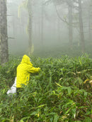 Daiwa BRI Sasa no Megumi Natural Moisture Creamy Gel for Sensitive Skin - Made with Japanese Herb (Kumasasa), Similar to Matcha  - Made in JAPAN - Kawasaki City Store