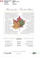 Soladey5 Ionic Toothbrush Solar Panels TiO2 Semiconductor Brush W/O Toothpaste JAPAN - Shiken