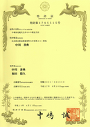 Soladey5 Ionic Toothbrush Solar Panels TiO2 Semiconductor Brush W/O Toothpaste JAPAN - Shiken