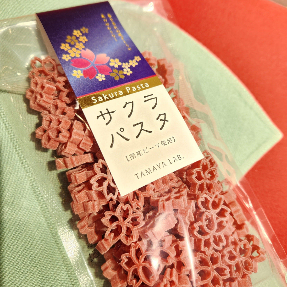 Sakura Pasta Cherry Blossom Viewing at Yamagata-born Art Pasta Made in