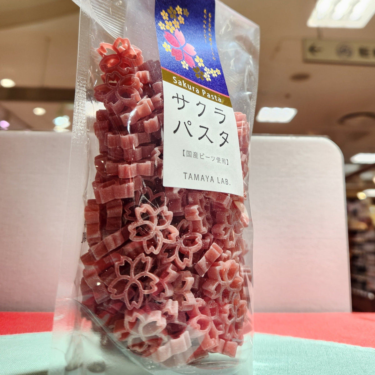 Sakura Pasta Cherry Blossom Viewing at Yamagata-born Art Pasta Made in