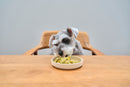 Japanese Wet Dog Food 4-Pack Pouches Wagyu Beef Chicken Mackerel Low Fat Recipe