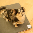 Terra Pet Sheets: Pet health items that generate terahertz far-infrared radiation - Kurumira