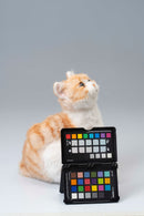 Trend Master Pettable Meowing Kitten Plush Robot - Kawasaki City Store