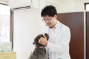 KEIWA Premium Pet Shampoo Microfoam Sensitive Skin Dog Cat 500ml/300ml - KEIWA