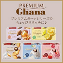 Lotte Premium Ghana Choco Sable Chocolate Salty Butter 49g – Made in JAPAN - Tokyo Sakura Mall