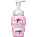 Bioré Makeup Removing & Facial Wash Foam 160ml – Made in JAPAN - Tokyo Sakura Mall