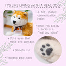 Trend Master HACHI Hach Hachiiko 100th Anniversary limited model Robot - Kawasaki City Store