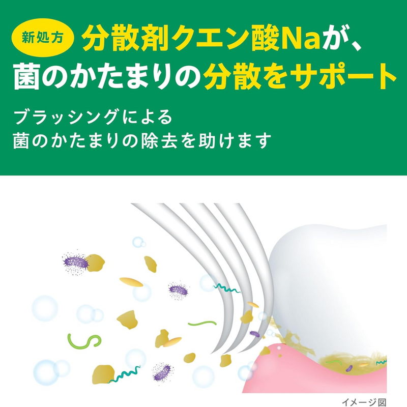 GUM Dental Toothpaste 120g High Fluoride Plaque & Gum Care – Made in JAPAN - Tokyo Sakura Mall