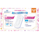 Sofy Hadaomoi Sanitary Napkins – Day Use for Heavy Flow – No Wings – 24 Pads – Made in JAPAN - Tokyo Sakura Mall