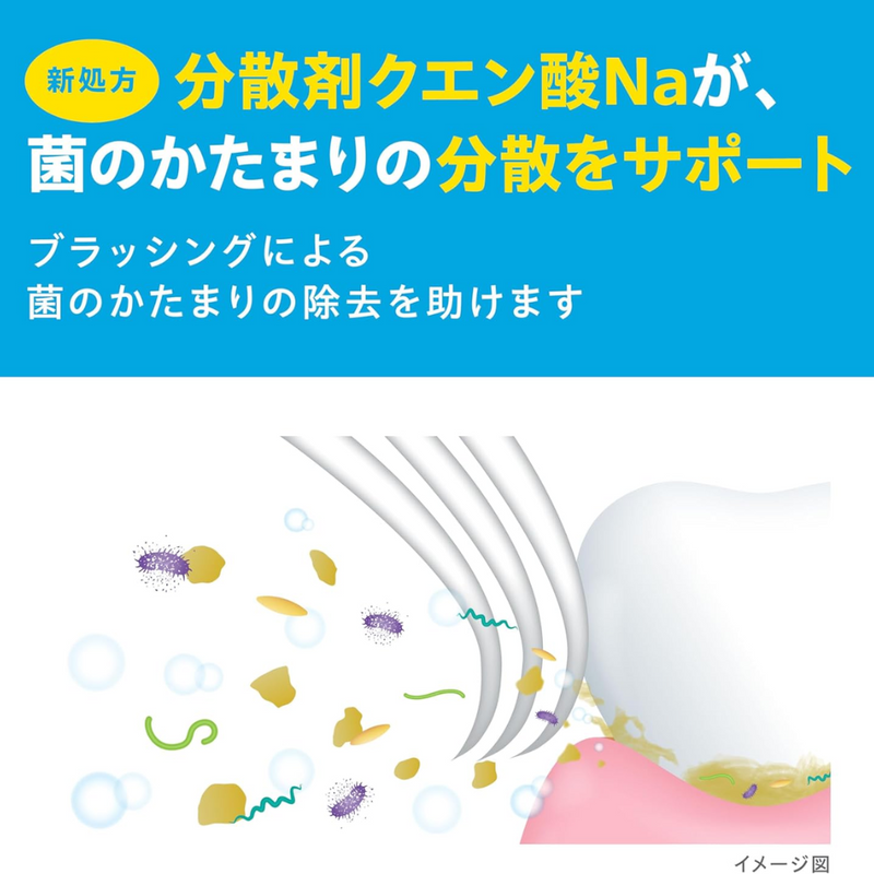 GUM Dental Toothpaste 120g Anti-Gum Disease & Cavity Prevention – Made in JAPAN - Tokyo Sakura Mall