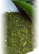 Premium Japanese Yabukita Tea with Historical Icon Packaging – Includes Postcard - Kurumira Shop