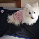 Terra Pet Sheets: Pet health items that generate terahertz far-infrared radiation - Kurumira