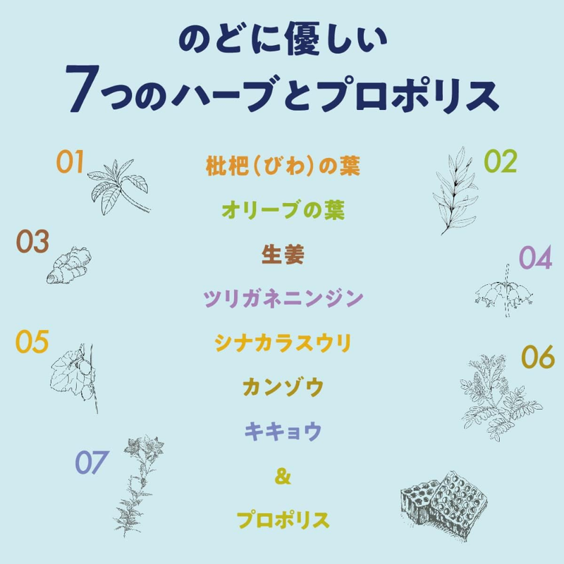 Kanro Voice Care Throat Candy 70g ×6 Bags – Protect Your Voice & Throat – Made in JAPAN - Tokyo Sakura Mall