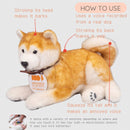 Trend Master HACHI Hach Hachiiko 100th Anniversary limited model Robot - Kawasaki City Store