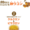 Ukon no Chikara Turmeric Granules 10 Servings – Japanese Health Supplement – Made in JAPAN - Tokyo Sakura Mall