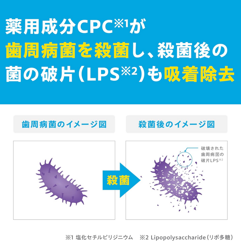 GUM Dental Toothpaste 120g Anti-Gum Disease & Cavity Prevention – Made in JAPAN - Tokyo Sakura Mall