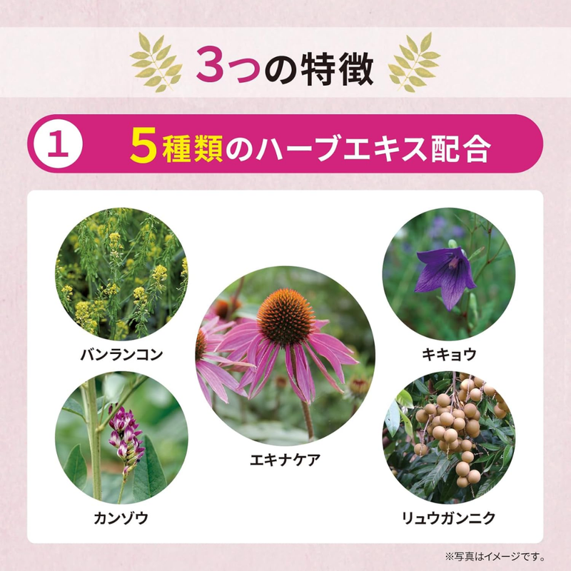 Matsuura Echinacea Throat Candy 52g Made in JAPAN - Tokyo Sakura Mall