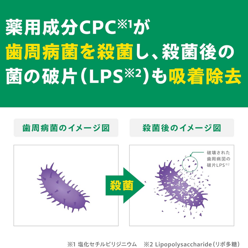 GUM Dental Toothpaste 120g High Fluoride Plaque & Gum Care – Made in JAPAN - Tokyo Sakura Mall