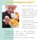 Trend Master HACHI Hach Hachiiko 100th Anniversary limited model Robot - Kawasaki City Store