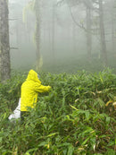 DAIWA BRI Kumazasa Green Clay Mask - Made with Japanese Herb (Kumazasa) Similar to Macha (Green tea) - Kawasaki City Store