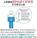 Pocari Sweat Powder 1L Pack (10 Sachets) Trusted Hydration Solution Made in Japan - Tokyo Sakura Mall