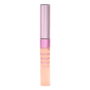 Canmake Highlight & Retouch Concealer UV
