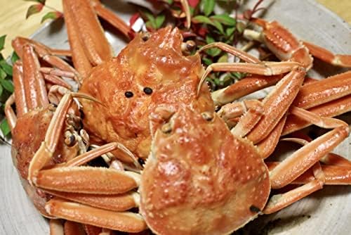 Kora Honten Crab Specialty Restaurant Crab Hot Pot Broth 720g Kani suki - ICHIBIKI Made in JAPAN