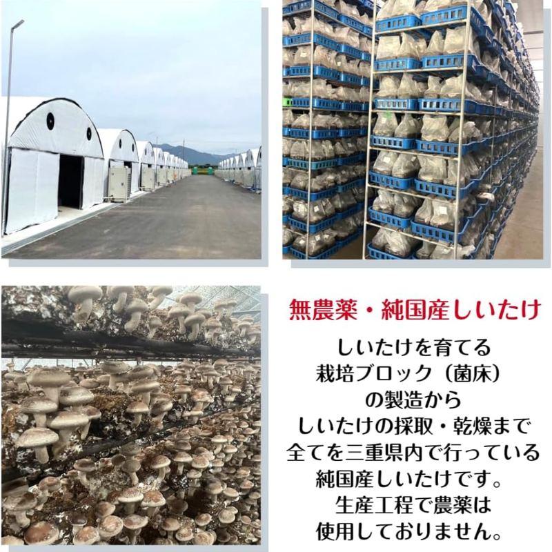 Iseoka Shoten Dried Shiitake Mushrooms 80g Mie Prefecture Organic – Made in JAPAN - Tokyo Sakura Mall