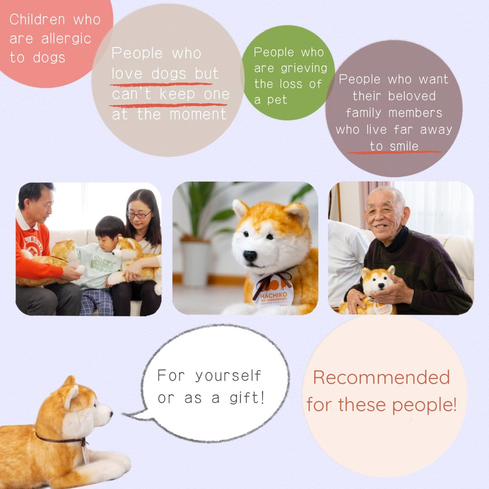 chieko-t.2525-happy　1111 2-Tracks) HITACHI Rubber Track ZX-25-ZAXIS 300x52.5x74