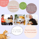 Trend Master HACHI Hach Hachiiko 100th Anniversary limited model Robot - Kawasaki City Store