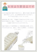 Premium Tottori Nita Koshihikari Rice "Nishi no Yokozuna" – 5kg, 3kg, 450g (3 Cups) - Kurumira Shop