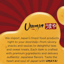 UMAYA - Iyemon Cha Premium Matcha Powder from Kyoto - Stone Ground Uji Matcha Green Tea with Wooden Spoon - Authentic Japanese Matcha for Lattes, Baking & More - 30g x 2