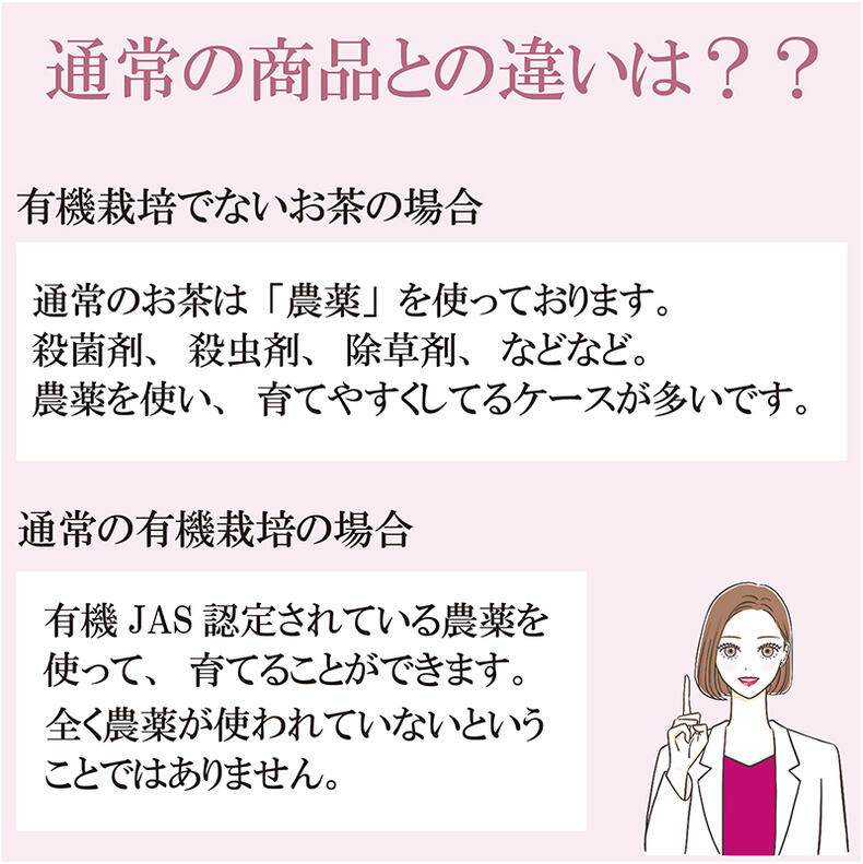 Hagiri Japanese Tea Bag Series – First Flush & Premium Blends Matcha hoji - Shizuoka City