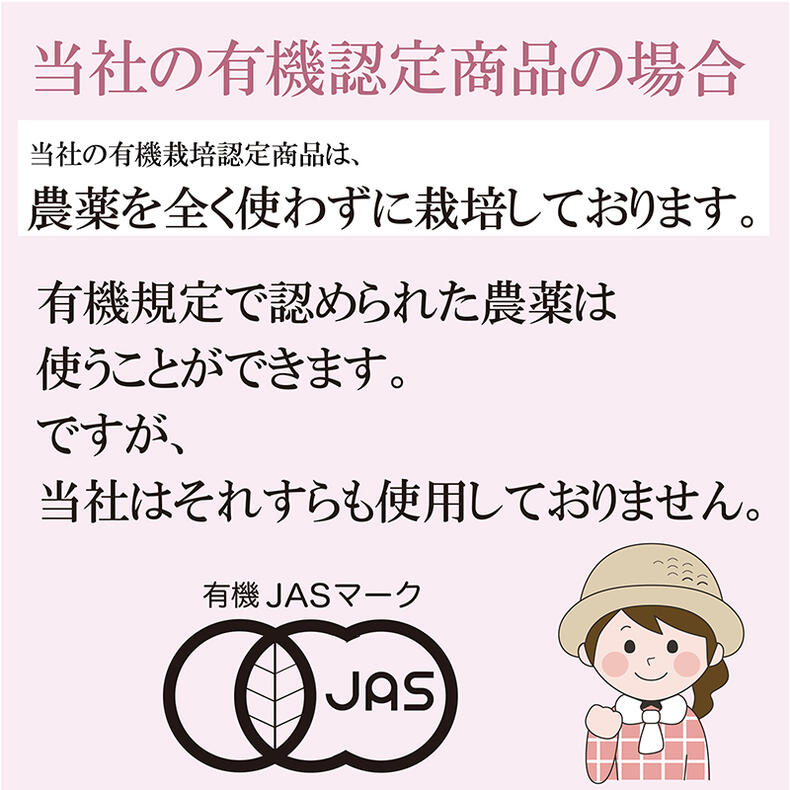 Hagiri Japanese Tea Bag Series – First Flush & Premium Blends Matcha hoji - Shizuoka City