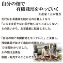 Hagiri Japanese Tea Bag Series – First Flush & Premium Blends Matcha hoji - Shizuoka City