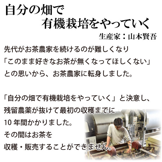 Hagiri Japanese Tea Bag Series – First Flush & Premium Blends Matcha hoji - Shizuoka City