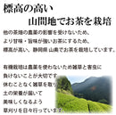 Hagiri Japanese Tea Bag Series – First Flush & Premium Blends Matcha hoji - Shizuoka City