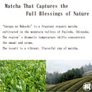 Hagiri Matcha Series – Premium Japanese Green Tea Powder - Shizuoka City
