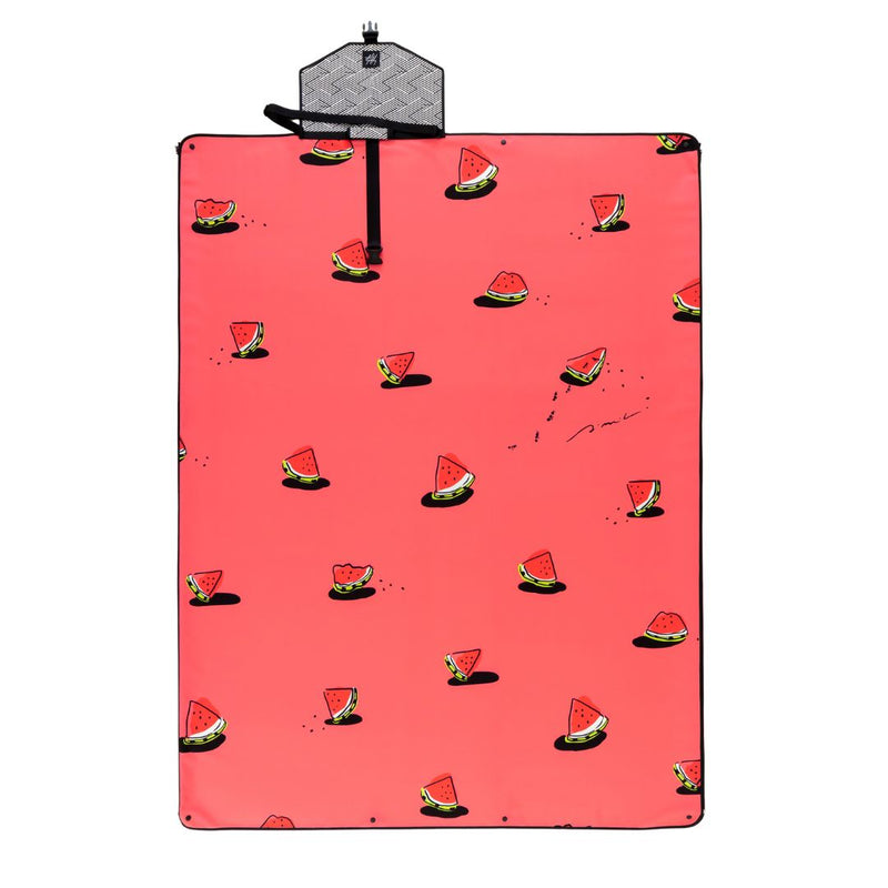 Mood Rug Watermelon “Ants and Watermelon” Fun Summer Mat - Spoon&Sugar