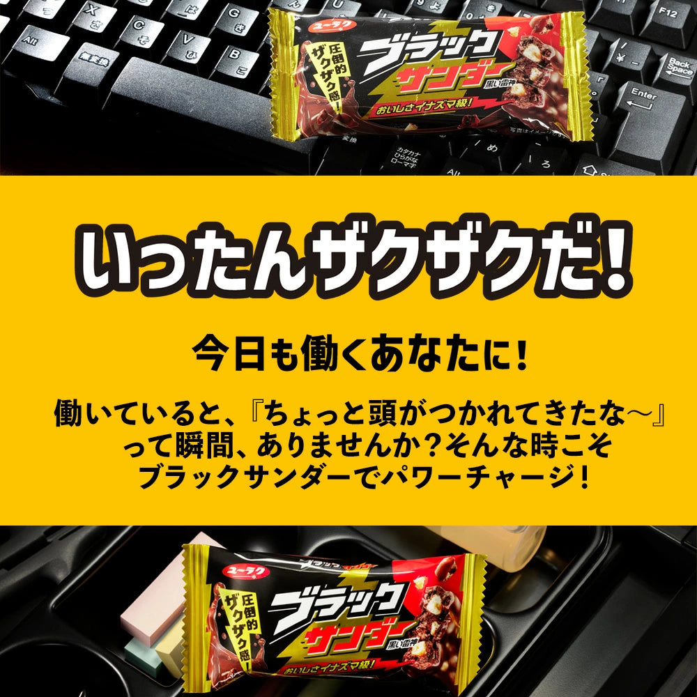 Shiroi Koibito White Lovers White Chocolate Cookie Sakura Japan